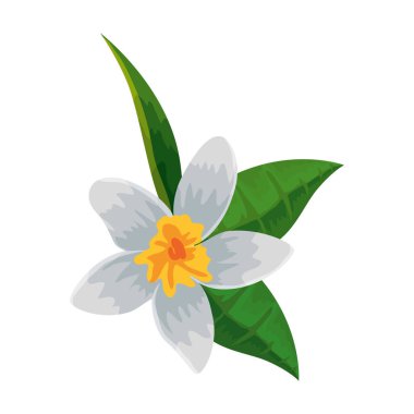 egzotik tropikal çiçek ve yapraklar