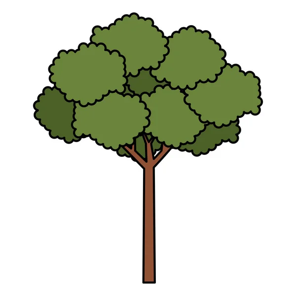 Árbol planta icono natural — Vector de stock