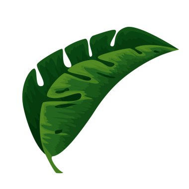 egzotik yaprak bitki simgesi