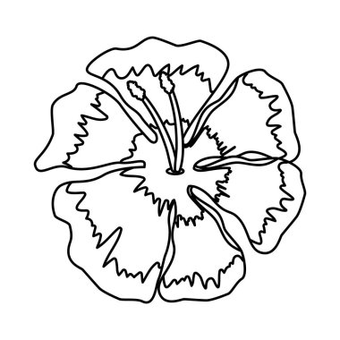 güzel çiçek dekoratif simgesi