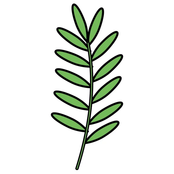 Гілка з листям декоративна ікона — стоковий вектор