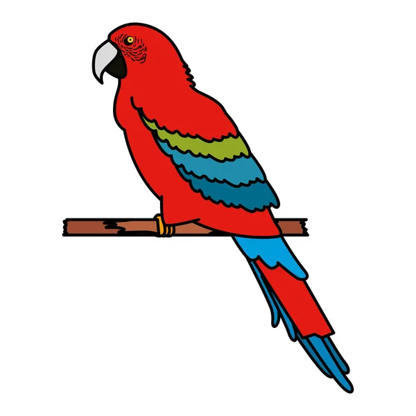 Tropical and exotic parrot — Stock Vector