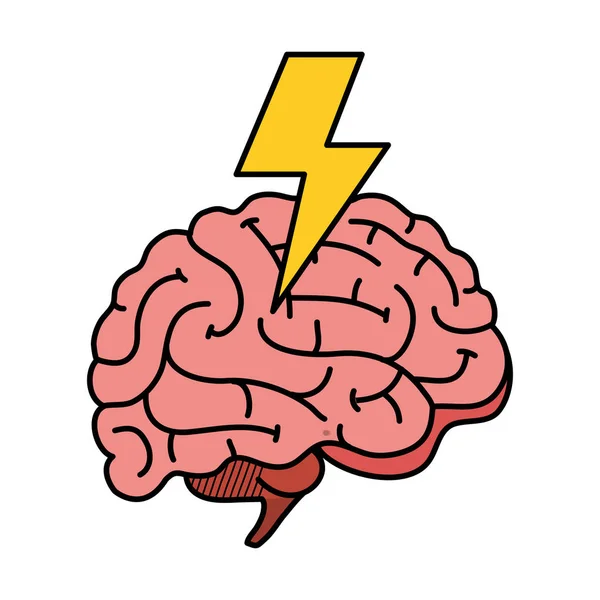 Brain human organ with ray power — Stock Vector