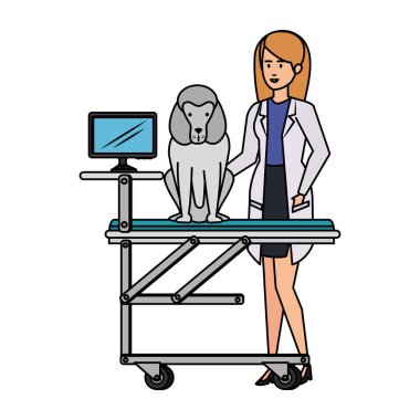 sedyede köpek ile veteriner kadın