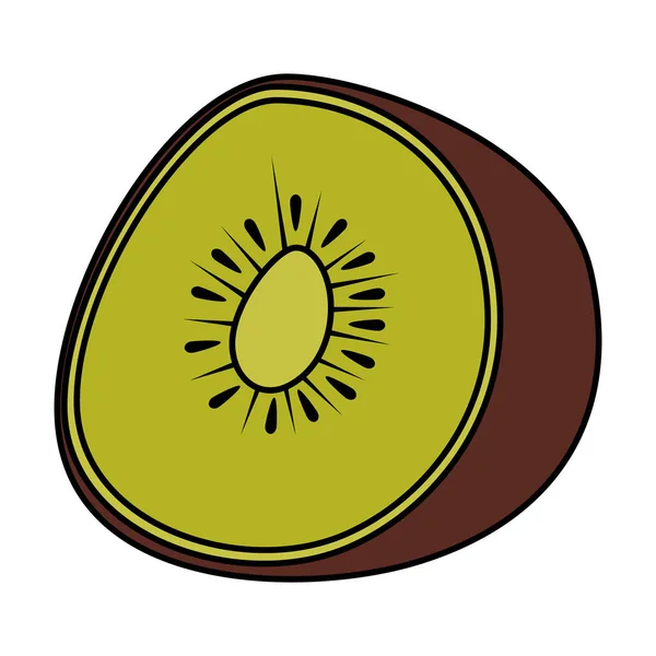 Свіжі ківі половина екзотичних фруктів — стоковий вектор