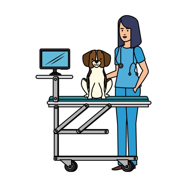 Veterinární samice se psem v nosítka — Stockový vektor