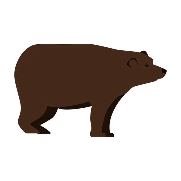 Wild bear grizzly icon — Stock Vector