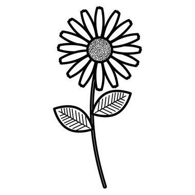 çiçek ve yapraklar dekoratif simgesi