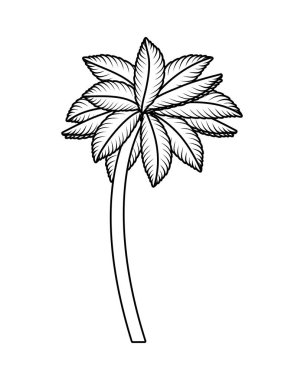 tropikal ağaç palmiye simgesi