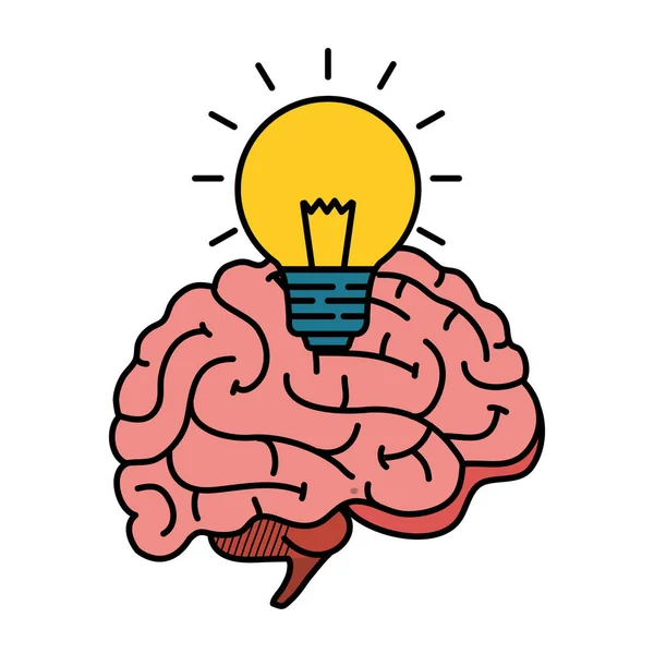 Lidský mozek s žárovkou — Stockový vektor