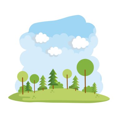 orman alanı manzara sahnesi