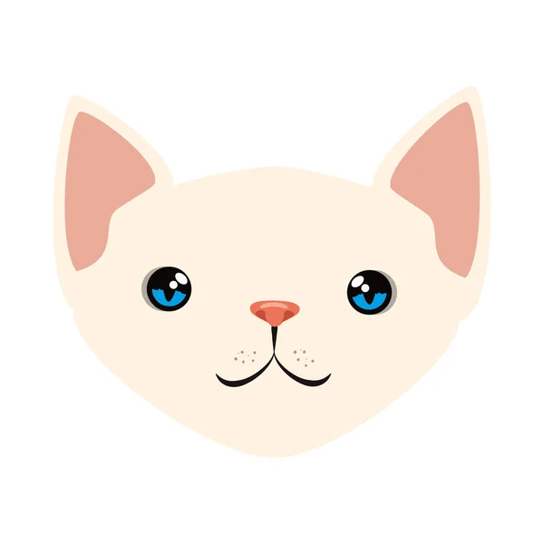 Cute cat mascot head character — Stock Vector