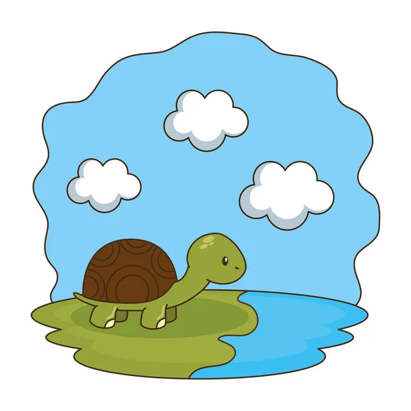 Cute turtle in the camp — Stock Vector