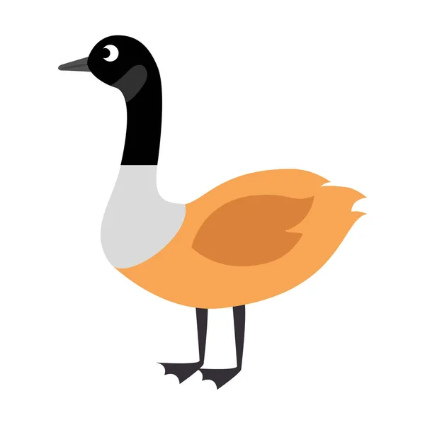 Icono del pato salvaje canadiense — Vector de stock