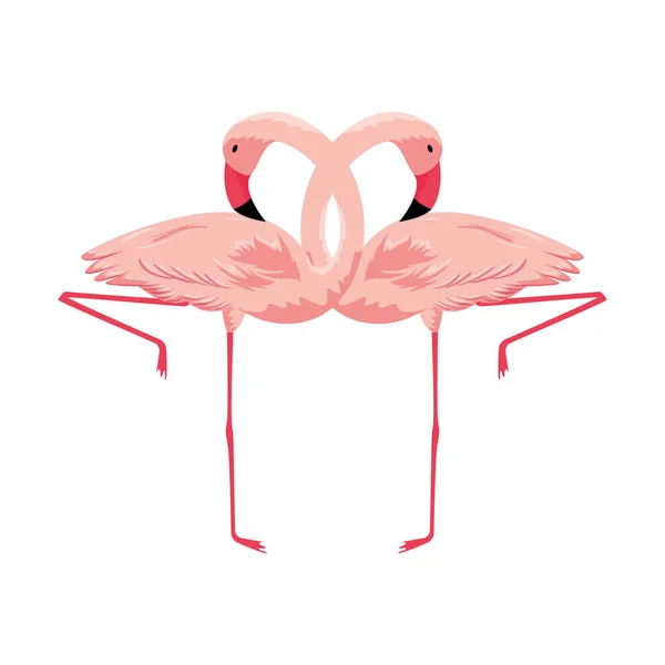 エキゾチックなフランドルカップルの鳥 — ストックベクタ
