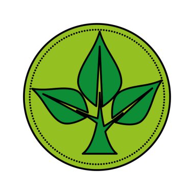 ekoloji yapraklar bitki dairesel çerçeve