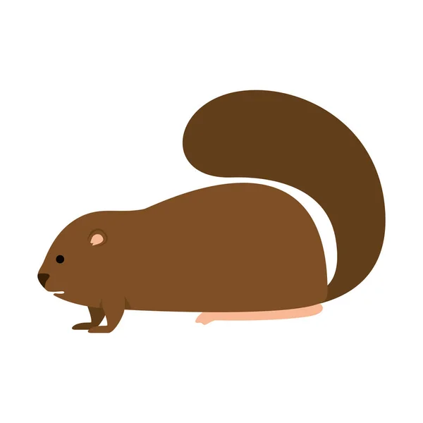 Lindo icono de marmota canadiense — Vector de stock