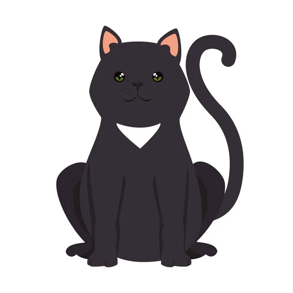 Personagem mascote gato bonito — Vetor de Stock