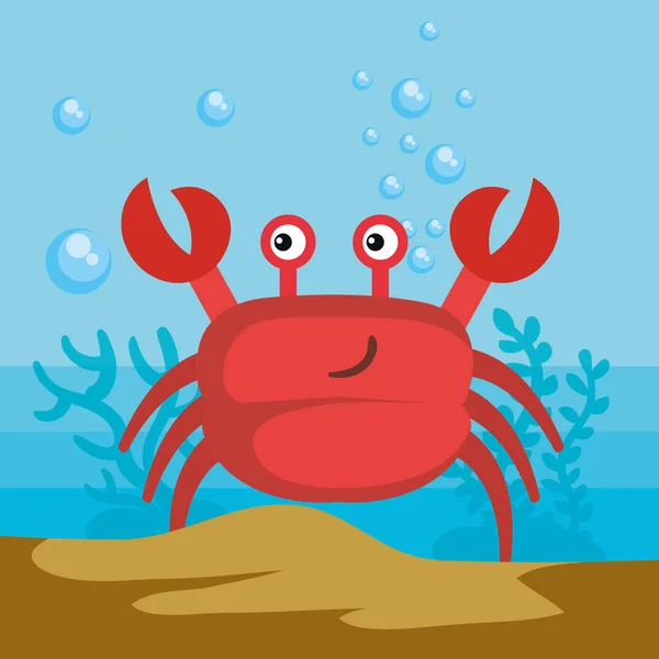 Sea life design — Stock Vector