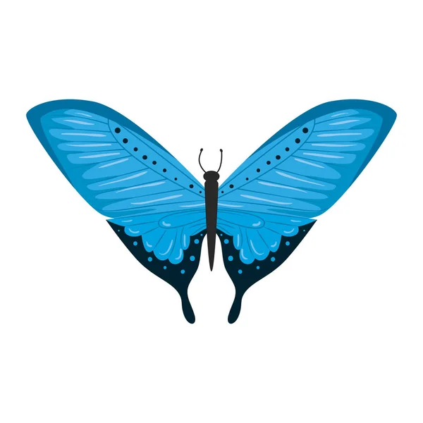 Hermoso mariposa vuelo icono — Vector de stock