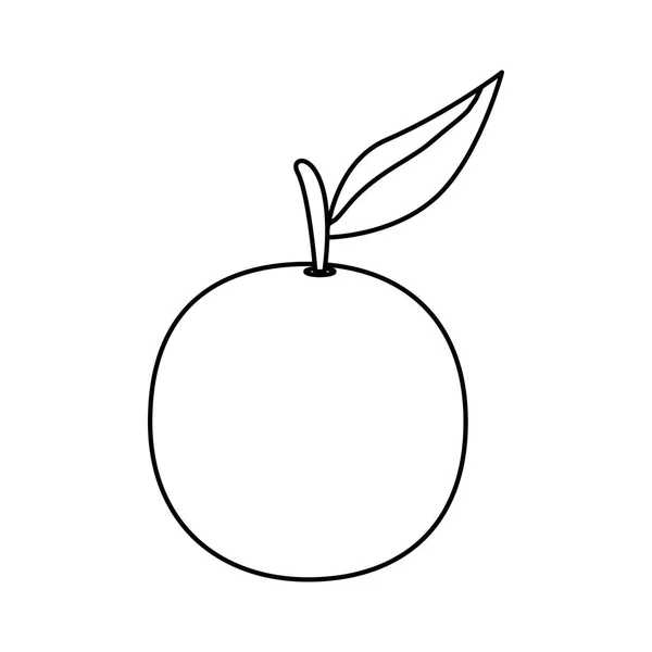 Orange frukt-ikonen — Stock vektor