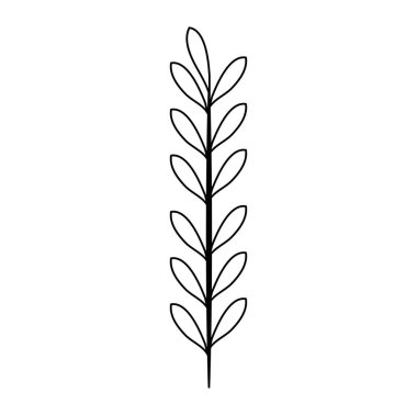 deniz bitkisinin yaprağı