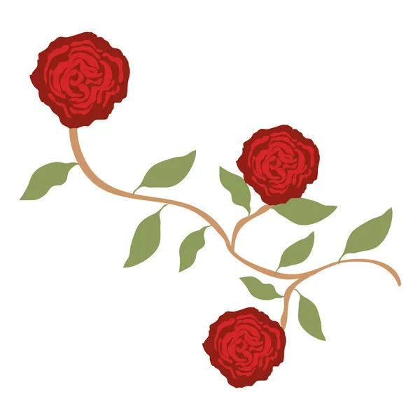 Rose and leafs decorative icon — Stock Vector