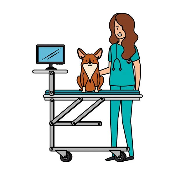 Vétérinaire femelle avec chien dans civière — Image vectorielle