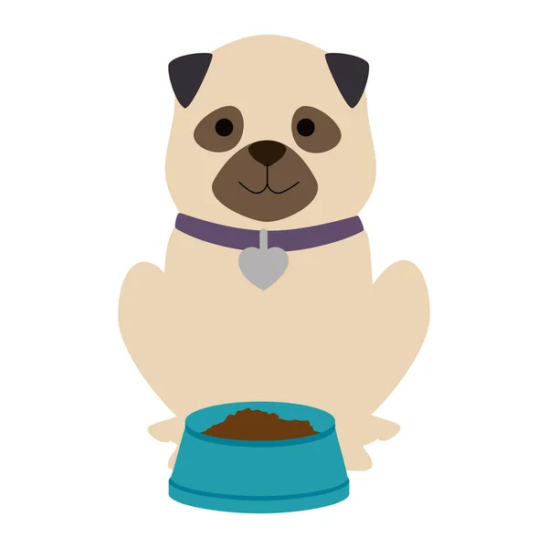 Carino cane razza con piatto cibo carattere — Vettoriale Stock