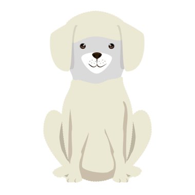 sevimli köpek ırkı karakter