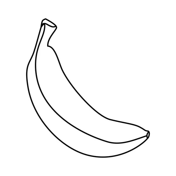 Fresh banana fruit icon — Stock Vector
