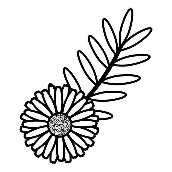 Blumen und Blätter dekorative Ikone — Stockvektor