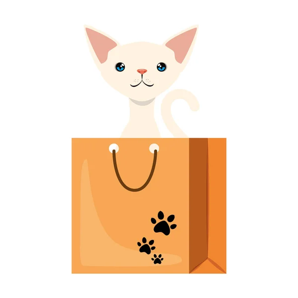 Rozkošná kočka maskota v nákupním pytli — Stockový vektor