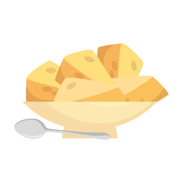 Plato con trozos de queso comida saludable — Archivo Imágenes Vectoriales