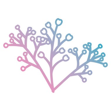 tohum doğal simgesi olan şube