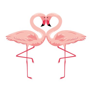 egzotik flaman çift kuşlar