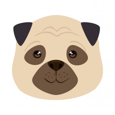 sevimli köpek ırkı kafa karakteri