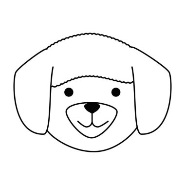 sevimli köpek ırkı kafa karakteri