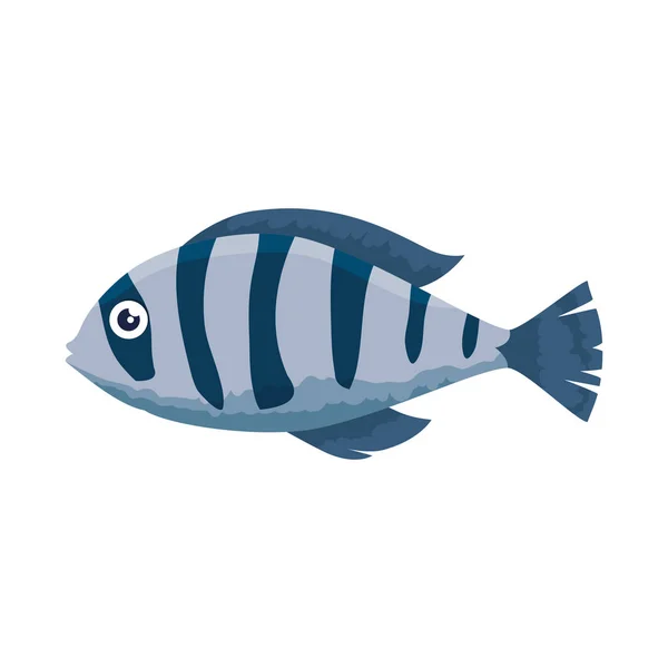 Icône de poisson ornemental mignon — Image vectorielle