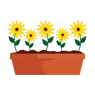 saksı simgesinde ayçiçeği