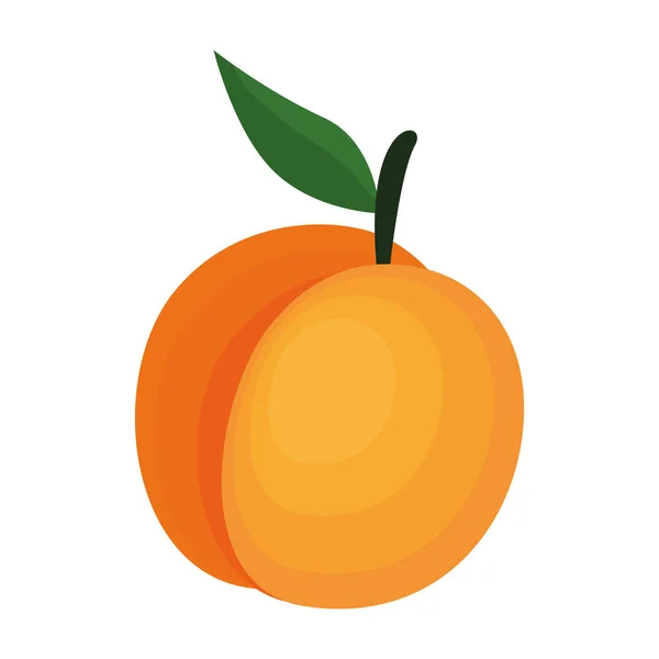 Symbol für frische Mangofrüchte — Stockvektor