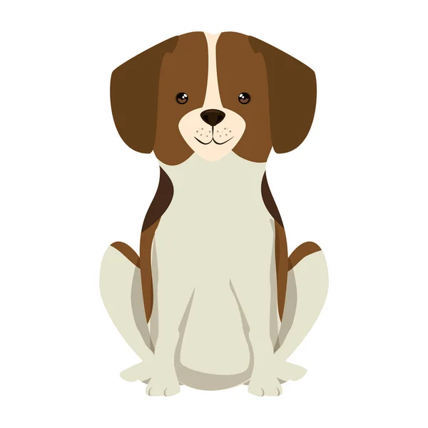 Personnage de race de chien mignon — Image vectorielle