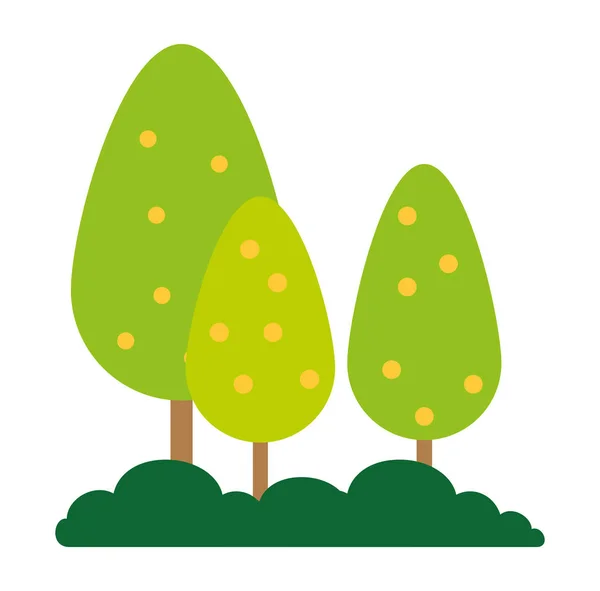Träd växter skog ikon — Stock vektor