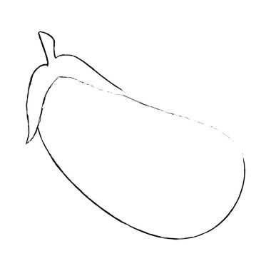 taze patlıcan vejetaryen yemek