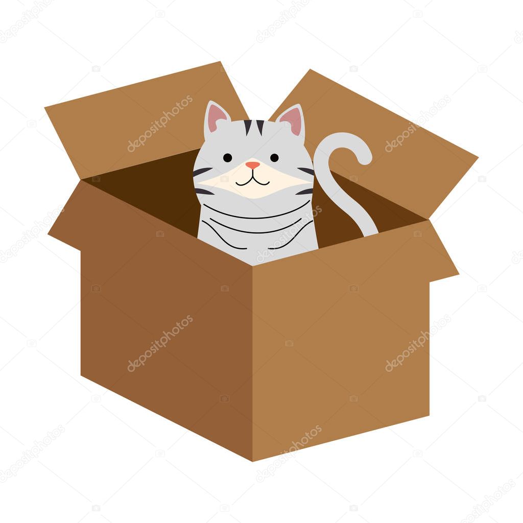 cute cat mascot in carton box character