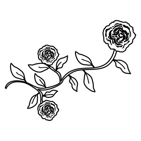 Rose and leafs decorative icon — Stock Vector