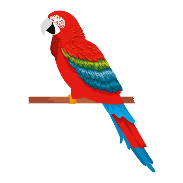 Tropical and exotic parrot — Stock Vector