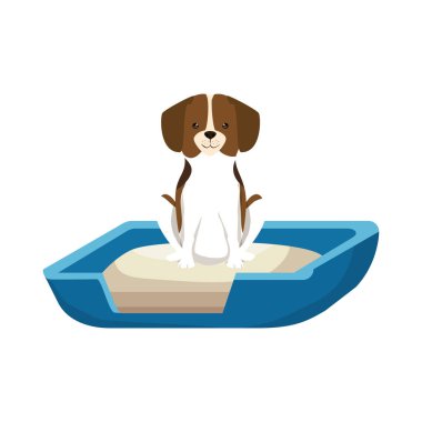 yatak karakteri sevimli köpek