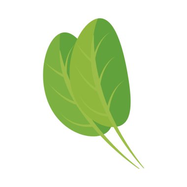 mutfak yapraklar malzemeler sağlıklı gıda