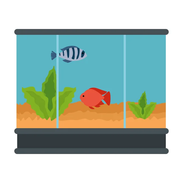 Akwarium kwadratowe z kolorami ryb — Wektor stockowy
